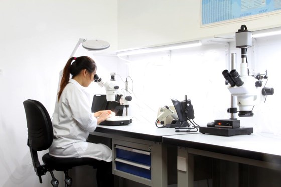 Research: Global research