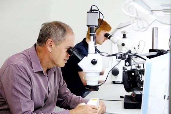 Research: Global research
