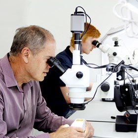 Research: Global research